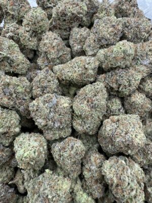 Rainbow Zours