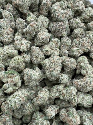 Gelato #33 Small