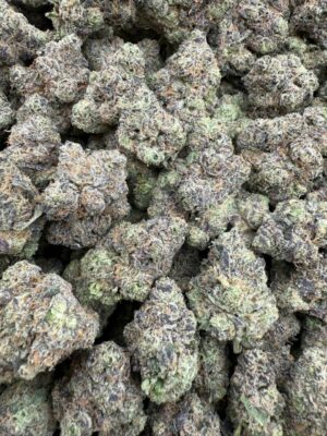 Hash Burger