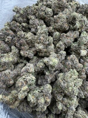 Mob Candy